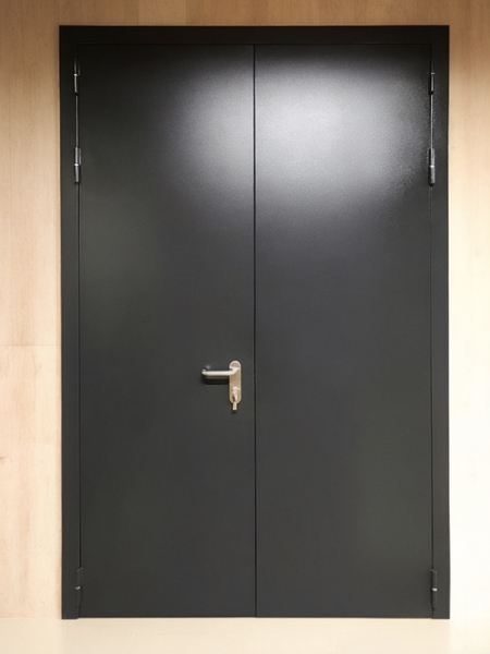 Черная двупольная дверь Черная двупольная дверь