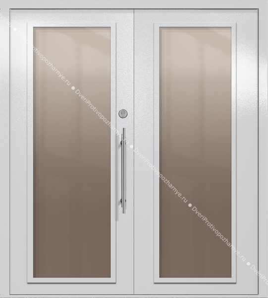 Двупольная техническая дверь с максимальными стеклами (цвет светло-серый RAL 7047) Двупольная техническая дверь с максимальными стеклами (цвет светло-серый RAL 7047)