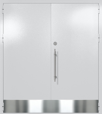 Двупольная глухая техническая дверь с отбойниками (цвет светло-серый RAL 7047) Двупольная глухая техническая дверь с отбойниками (цвет светло-серый RAL 7047)