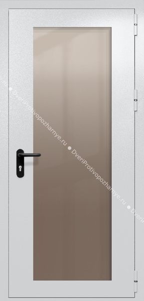 Однопольная дверь eiw-60 с максимальным стеклом и ручкой «антипаника» (цвет светло-серый RAL 7047) Однопольная дверь eiw-60 с максимальным стеклом и ручкой «антипаника» (цвет светло-серый RAL 7047)